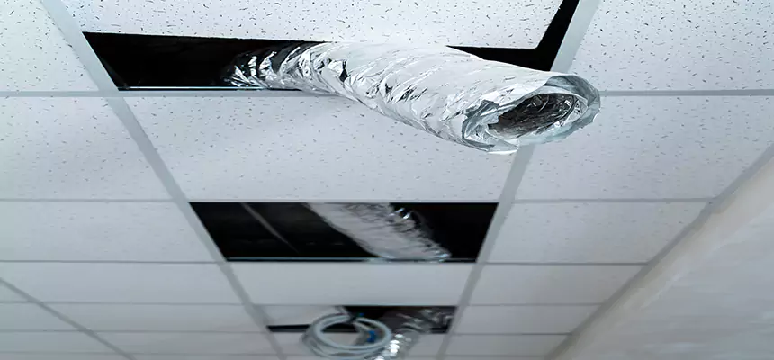 Affordable HVAC Sanitizing After Pest Removal in Lehigh Acres