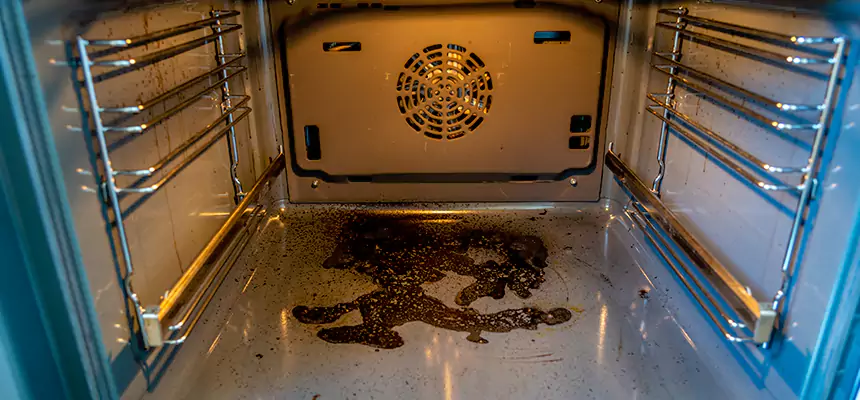 Our Dryer Vent Mold Cleaning Services in Bayshore Gardens, FL