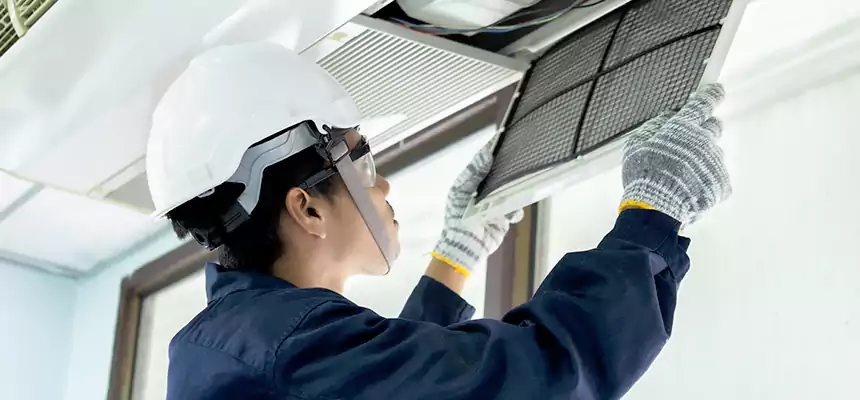 Our Mold & Mildew Removal from Air Ducts Services in Lehigh Acres, FL