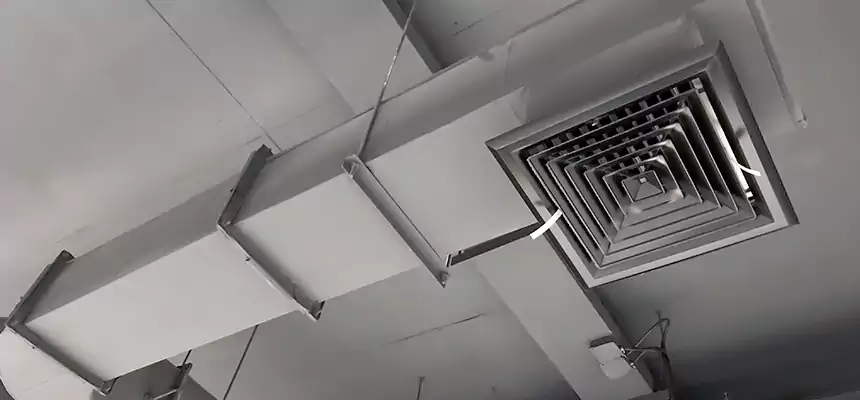 Our Pest Removal From Ducts Services in Lehigh Acres, FL