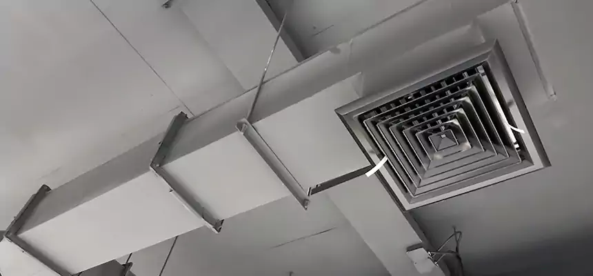 Our Rodent Droppings In Vents Services in Lehigh Acres, FL