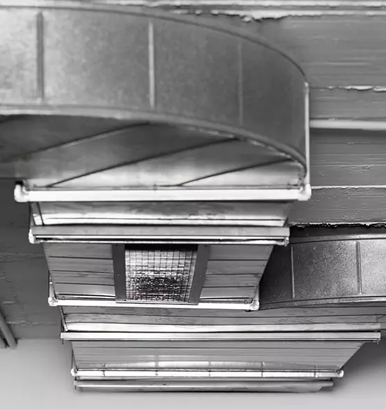 Professional Air Duct Pest Removal in Lehigh Acres, FL