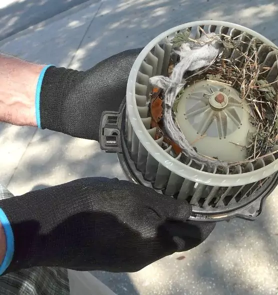 About Air Duct Rat Removal in Lehigh Acres, FL