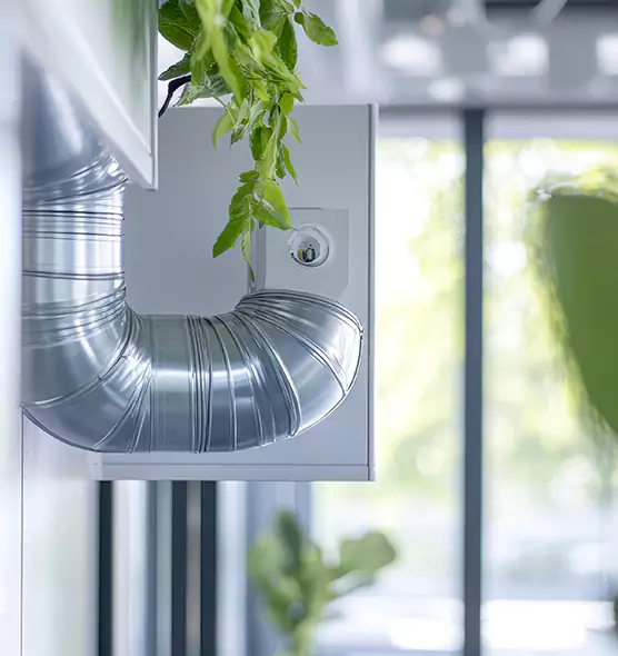 Professional Eco-Friendly Duct Cleaning Services in Lehigh Acres, FL