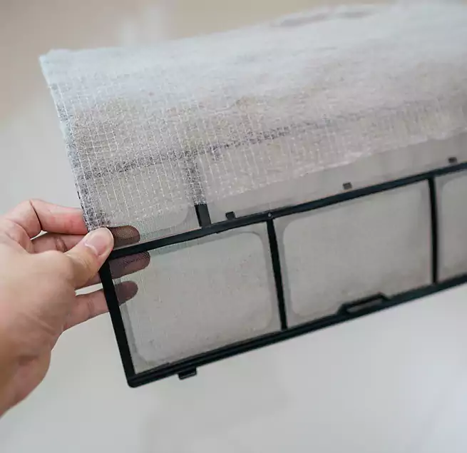 Why Homeowners & Businesses Trust Us in Lehigh Acres, FL?